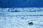 Svalbard _Jens Henrik Nybo_www.visitnorway.com